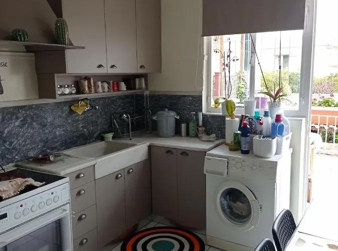 Mansion With Garden 度假居